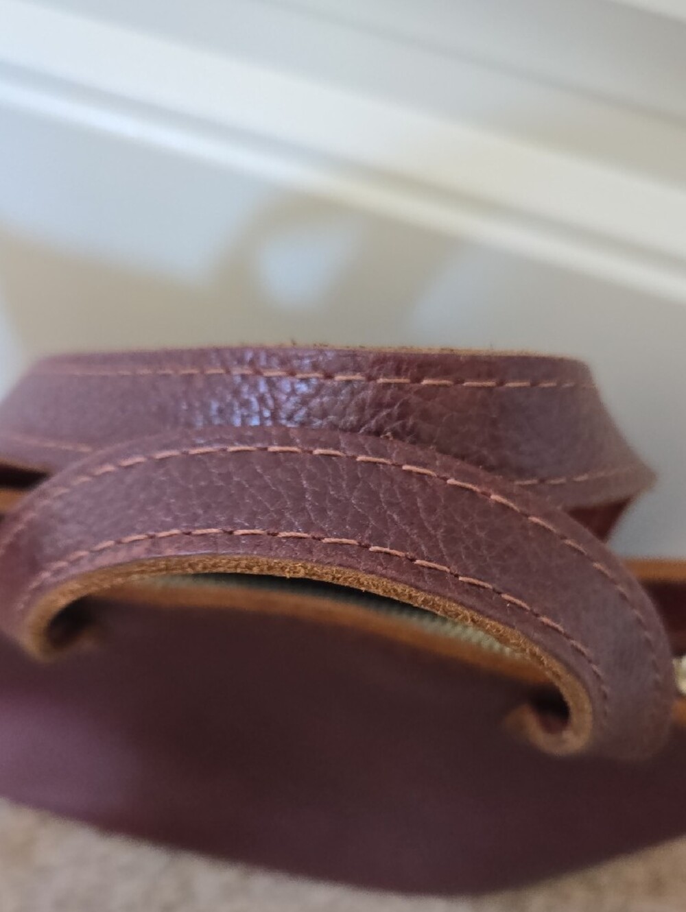 Portland Leather Mini Crossbody Zipper Tote - Picture 5 of 16